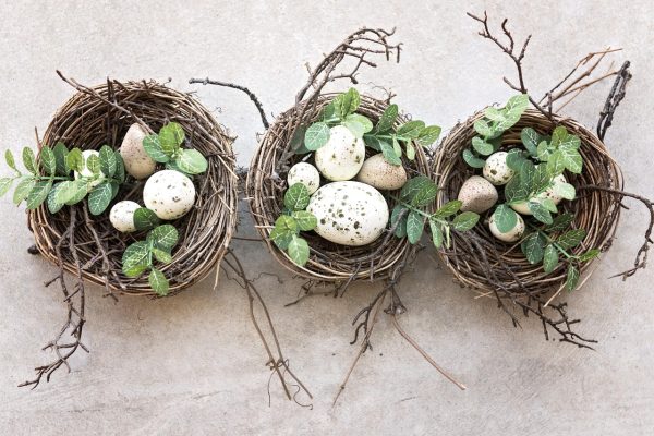 birds-nest-3196876_1280
